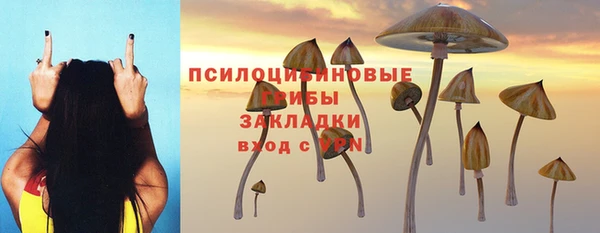 эйфоретик Белокуриха