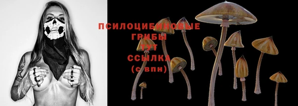 стаф Сафоново